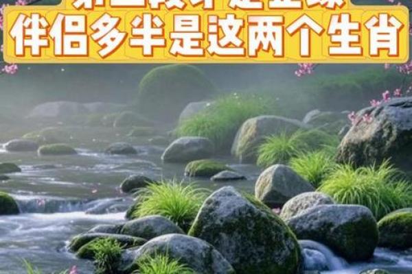 属鸡正缘出现在哪年 属鸡人婚姻配对表