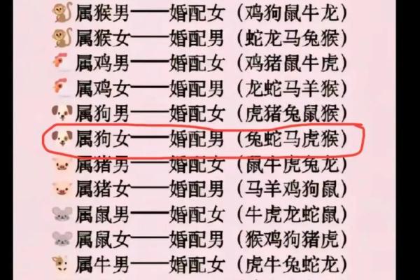 95男猪96女鼠相配吗 95年出生的男性和96年出生的女性是否适合成为配对