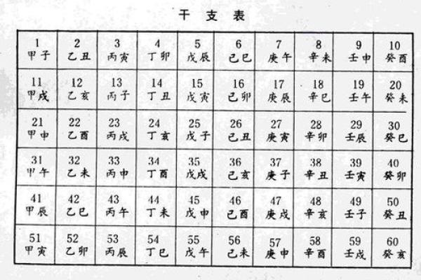 八字算命二龙戏珠