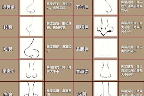 鼻毛算命,鼻毛长代表什么