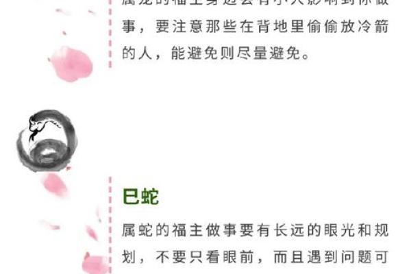 姓名与命运免费测试