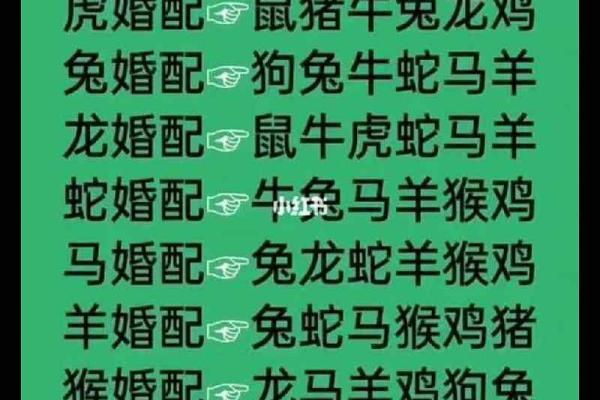 12生肖配对姻缘猪与虎 十二生肖猪和虎合不合？