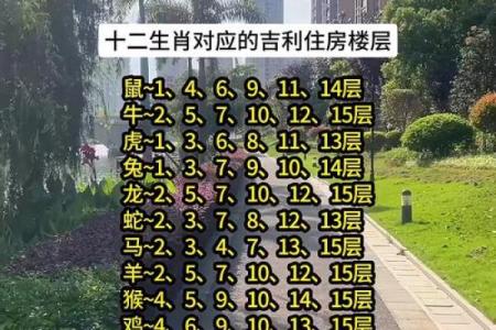风水观念金命的人住几楼比较好