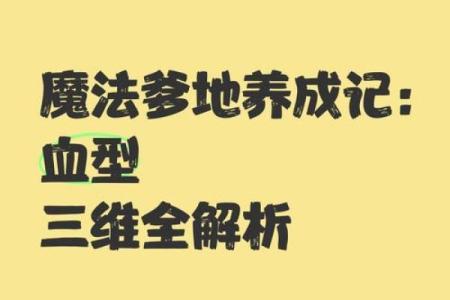 自我改造与血型解析