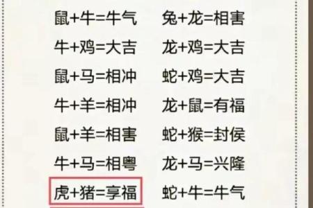 属虎和什么属相最配对 属虎和什么属相相冲