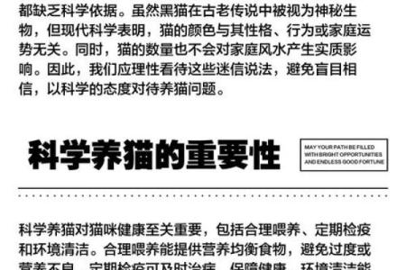 风水猫不请自来兆头寓意什么