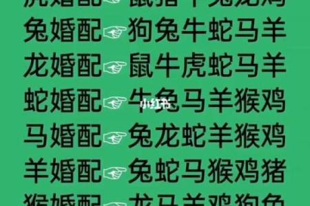 属相配对算命