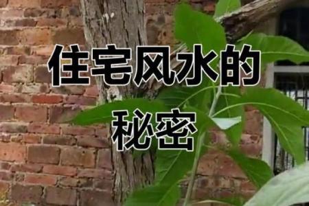 风水与微波的关系是什么？