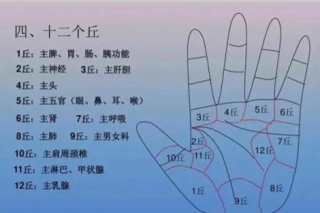 《手相学习百科》：手相健康记号