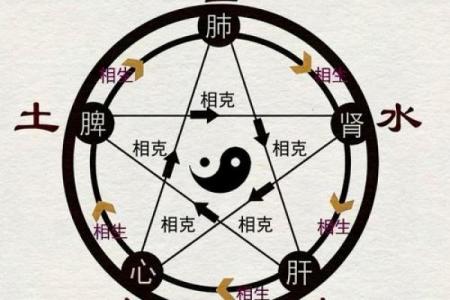 如何使用风水学中的原理对肺部气息进行优化