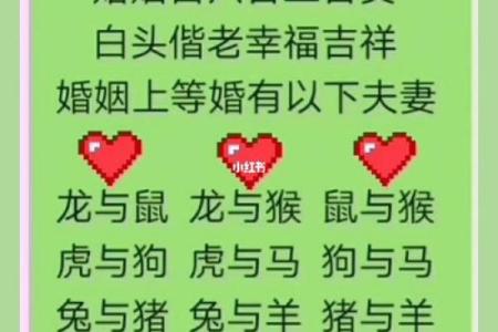 男猴女马生肖配对姻缘