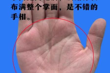 《手相学习百科》：认识双手