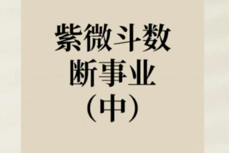 紫微斗数之：论事业