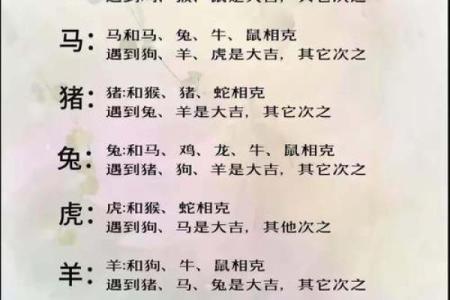 91年属什么生肖配对