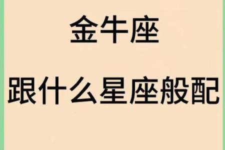 哪个星座会爱上金牛座