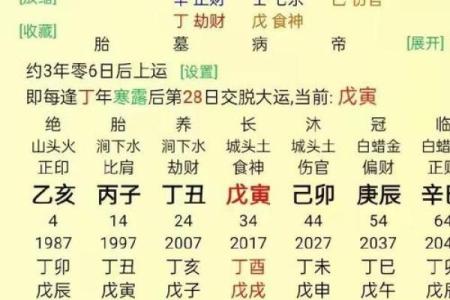生男孩八字