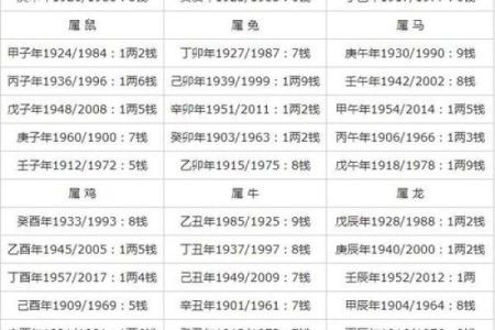 骨骼算命图