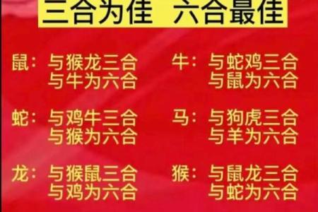 十二生肖配对吉凶 十二生肖配对吉凶表