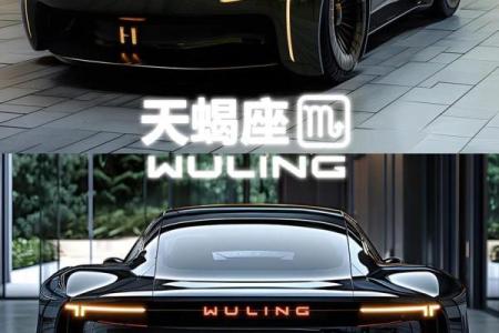12星座适合开什么牌子的车子