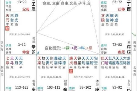 紫薇斗数廉贞星文昌同宫