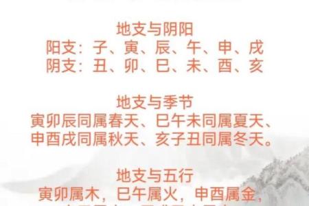 八字地支土多的解析及它们的特点