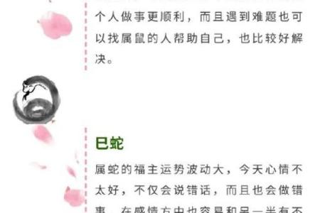 姓名与命运免费测试
