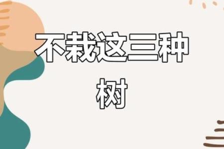 房前不种柳，屋后不栽桑，树木花草的风水作用！
