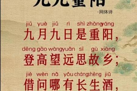 重阳节是什么节日？
