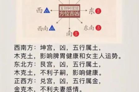 买了“发财树”，别把方位摆错