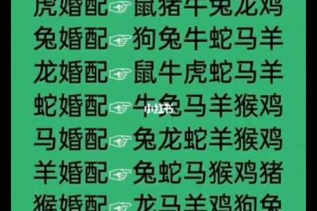 12生肖配对姻缘猪与虎 十二生肖猪和虎合不合？