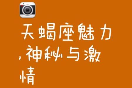 最佳合伙人的天蝎座配对