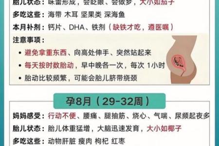算命的说会怀孕