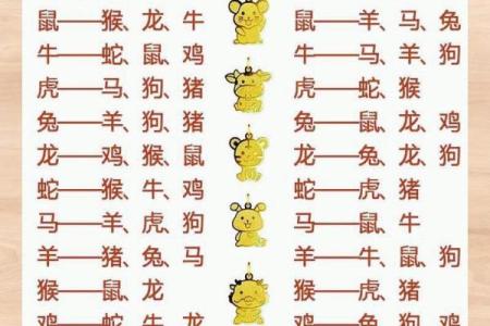 1996年属什么生肖配对 属相婚配表解析