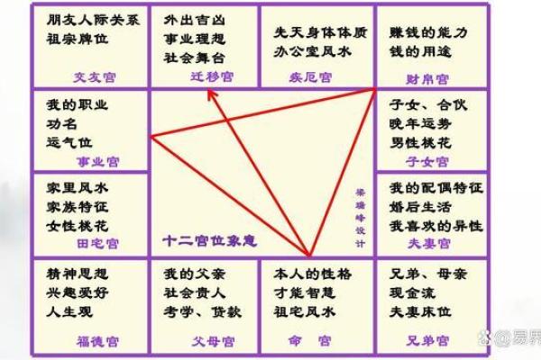 紫薇斗数开车撞人