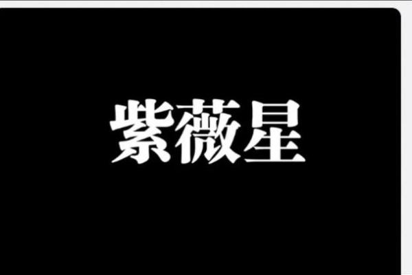 娱乐圈紫薇星