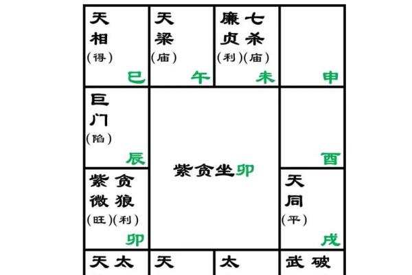 紫薇斗数中什么是拱
