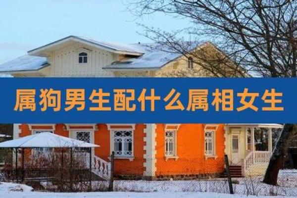 属龙和属狗适合做夫妻吗 配对有什么缺点