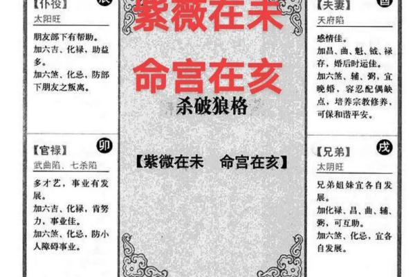 紫薇斗数怎么数岁数