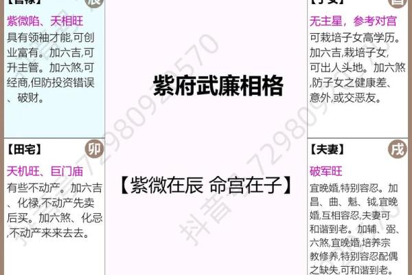 紫薇斗数怎么数岁数