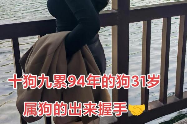 94年狗和94年狗是上等婚吗 两只94年生的狗配对算是高配婚姻吗