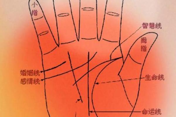 看男人手相算命图解 中指长的会富贵