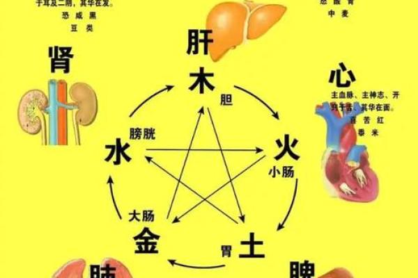 八字看疾病，八字看疾病解读
