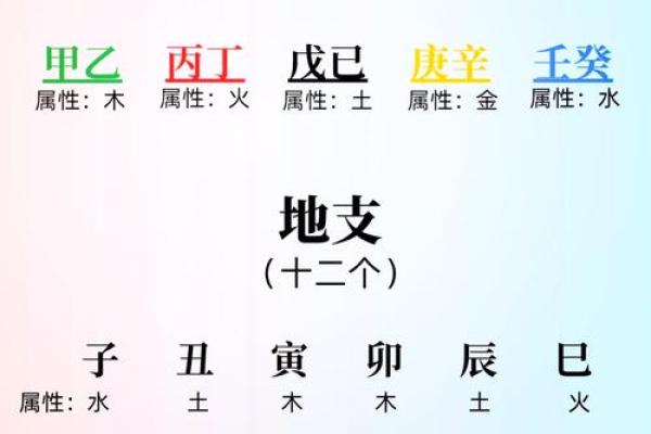在线生辰八字起名字