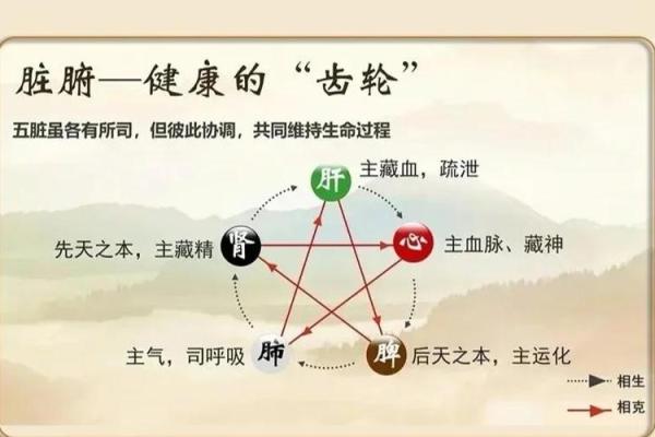 详解：八字水多的好处与坏处