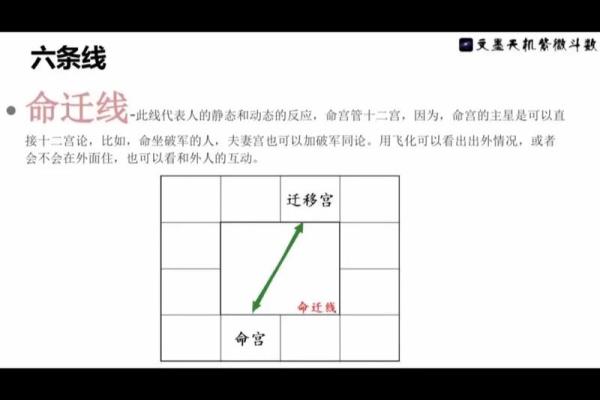 紫薇斗数命之夫
