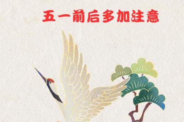 属猪的男孩出生吉日吉时是什么 属猪男孩出生的最佳时辰