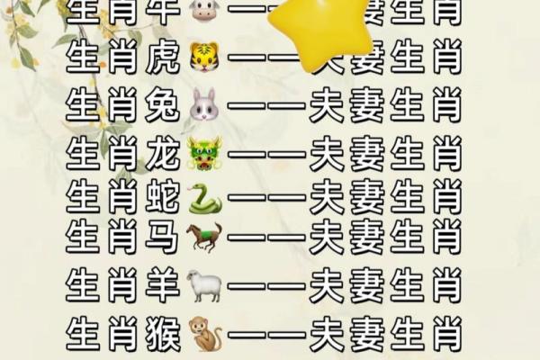 生肖配对属牛属兔的婚姻怎么样
