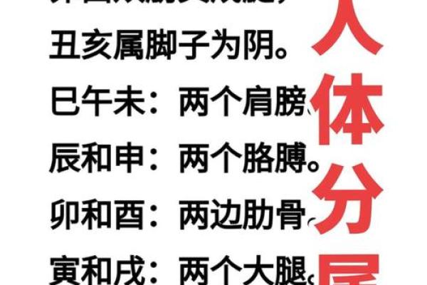 怎么样算八字