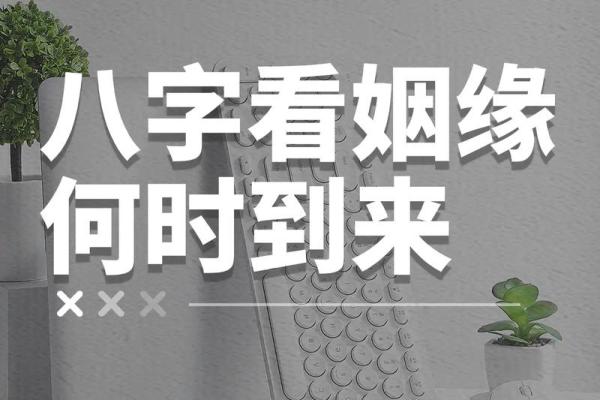 免费八字测姻缘