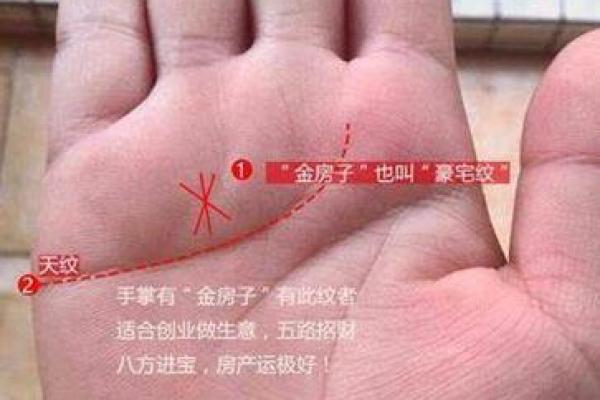 《手相学习百科》：拇指